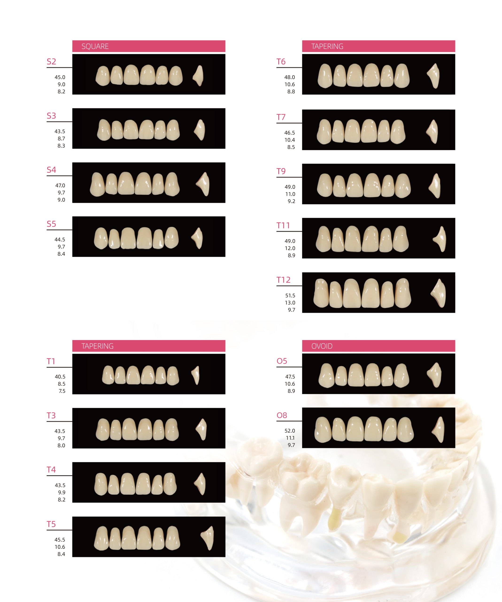 Denti in Resina per Protesi Anteriori Blister da 6 Denti in PMMA Huge  Sonning - Nuova Odontoiatria