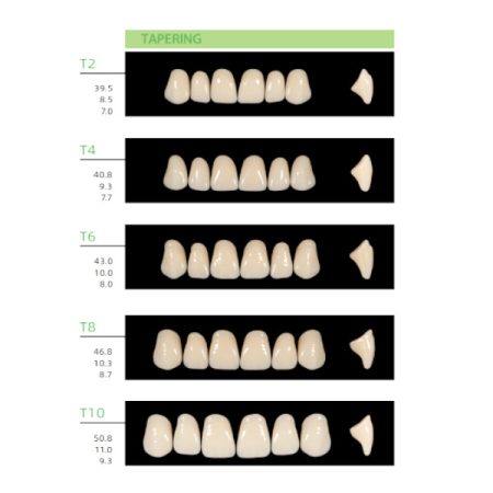 Denti in Resina per Protesi Anteriori Blister da 6 Denti in PMMA Huge Kaili - immagine 4