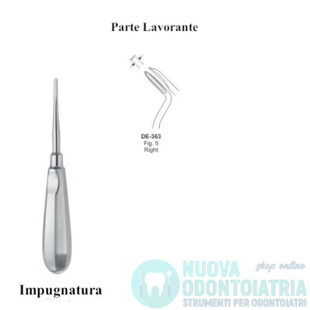 Leva Chirurgica Apicale Curva Destra 3