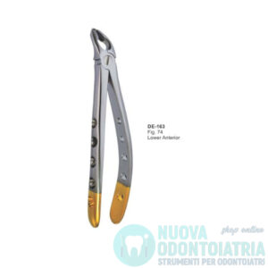 Pinza per Estrazione Gold Incisivi e Premolari Inferiori American Pattern