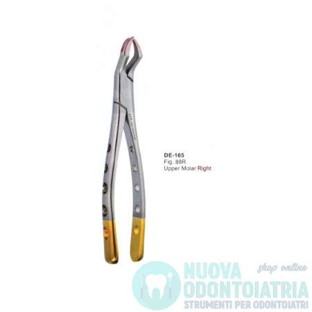 Pinza per Estrazione Gold Molari Superiori Destra American Pattern