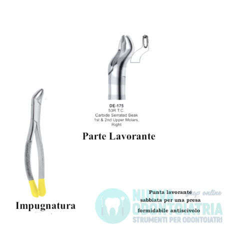 Pinza per Estrazione Gold Molari Superiori Destra Punta Sabbiata Antiscivolo American Pattern