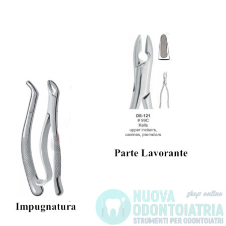 Pinza per Estrazione Incisivi