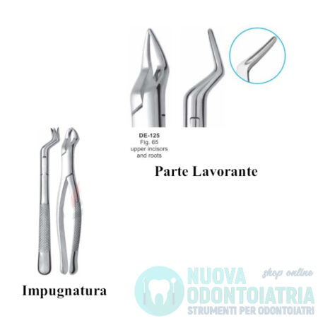 Pinza per Estrazione Incisivi e Radici Superiori American Pattern