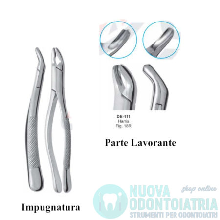 Pinza per Estrazione Molari Inferiori Destra American Pattern