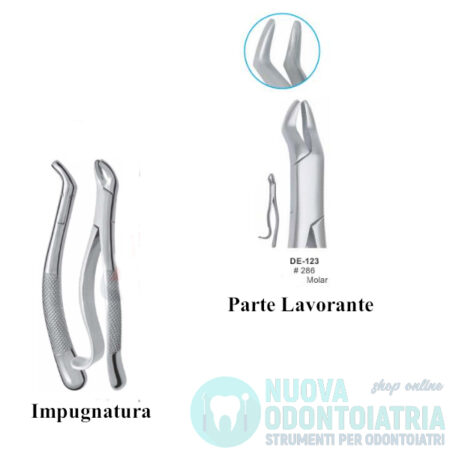 Pinza per Estrazione Molari Superiori American Pattern